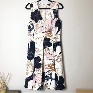Ann Taylor Floral Fit and Flare Dress
